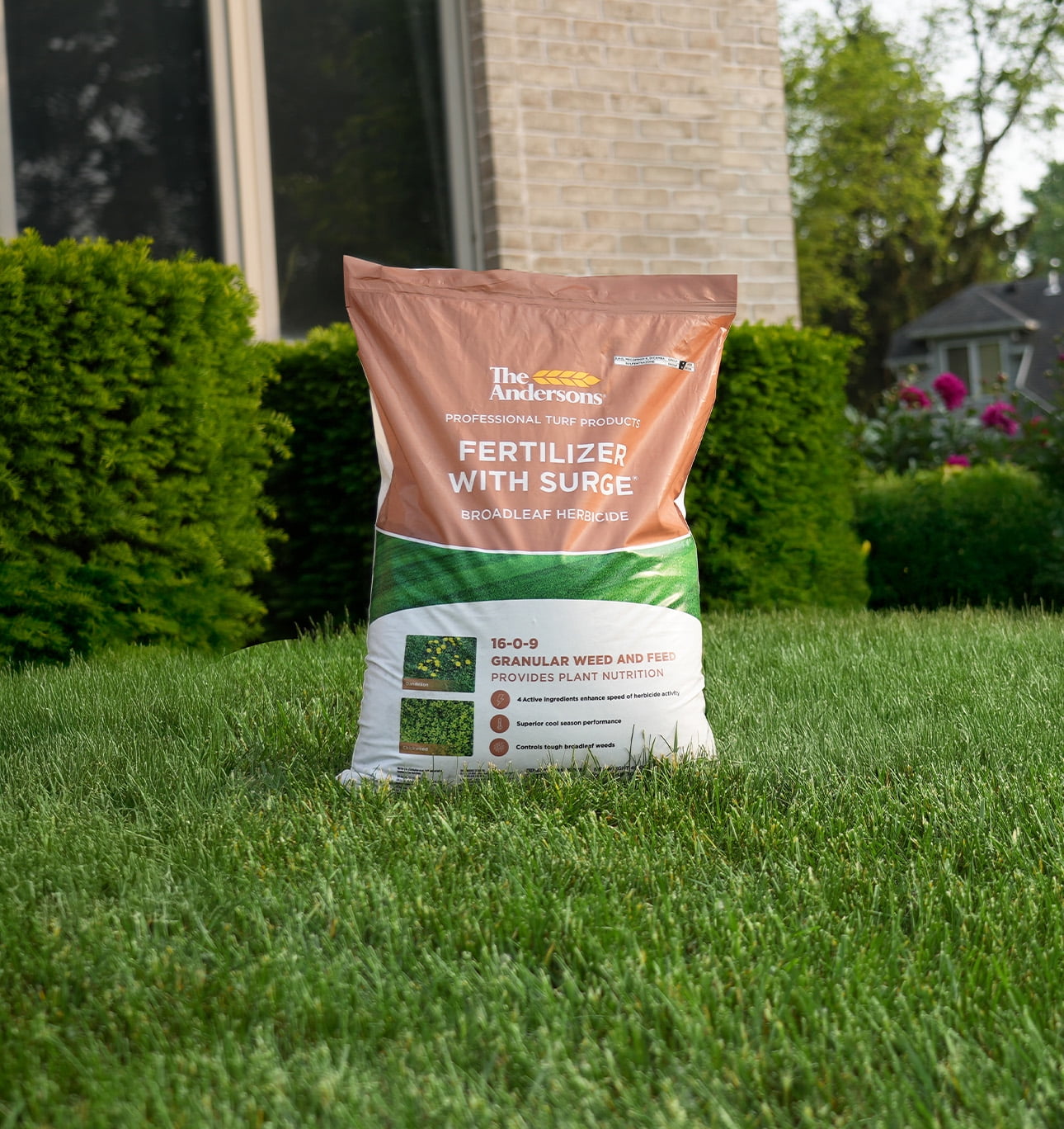 The Andersons Professional Surge Weed and Feed 16-0-9 Post-Emergent Weed Control and Fertilizer - Covers up to 20,000 sq ft (40 lb)