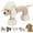 Sheep, variant on Linen Safari Companions, Linen Dog Toys, Relieve Boredom and Anxiety in Dogs, Strudy Linens Fabric (Dog)