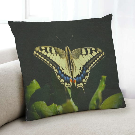 Ahgly Company Insects Butterfly Indoor Throw Pillow, 18 inch by 18 inch