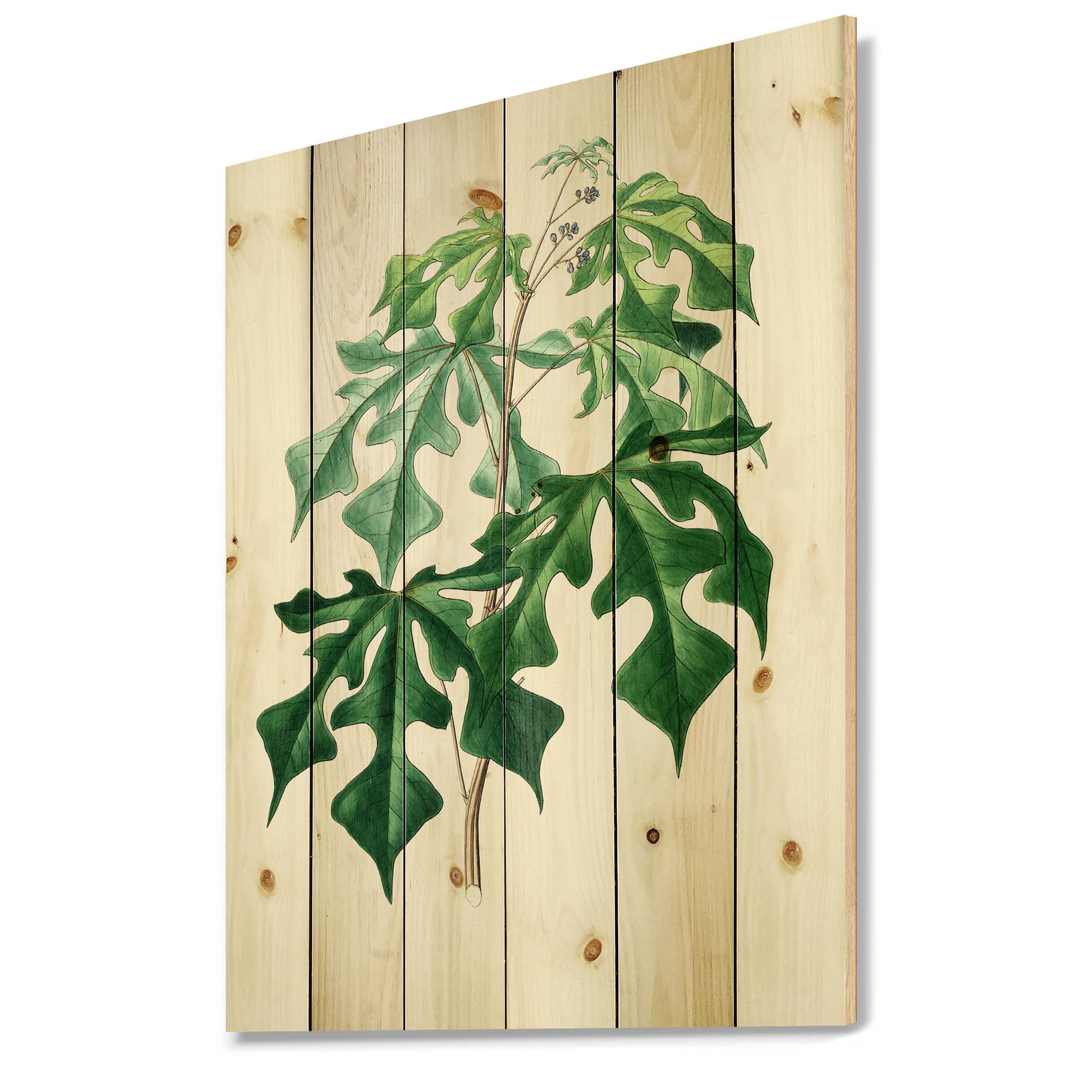 Designart 'Ancient Green Leaves Plants II' Traditional Print on Natural Pine Wood