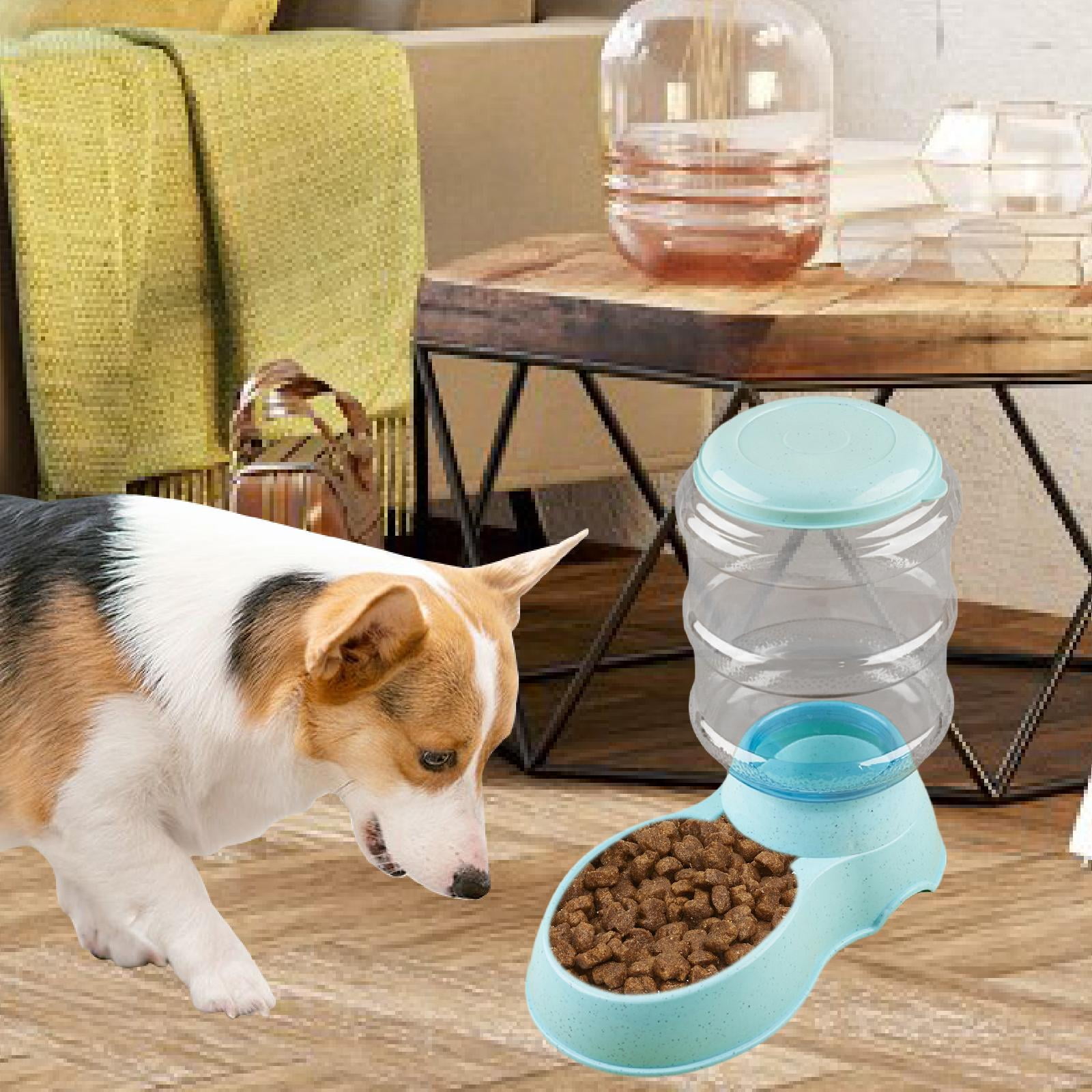 perfeclan Automatic Pet Feeder 3.8L Large Capacity for Cats Rabbits Puppy Dog Cat Feeding Device Clear Container for Business Work Accs blue feeding food