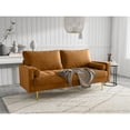 thumbnail image 2 of Enor Furniture Newport 70" Upholstered Modern Velvet Sofa in Brown, 2 of 8