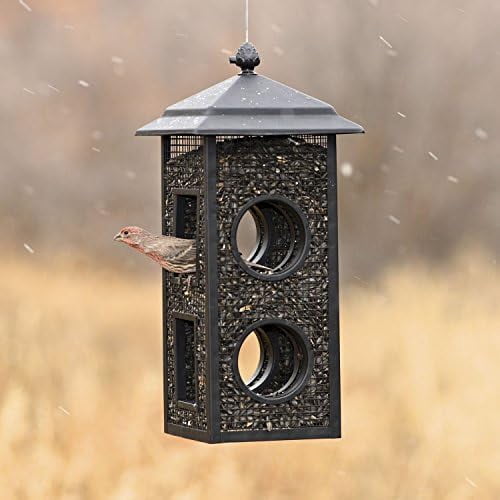 Fly-Thru Wild Bird Feeder - 2 lb Capacity for Black-Oil Sunflower Seeds - Wild Bird Feeder for Outdoors - Outdoor Decor - B00303