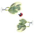 thumbnail image 1 of Uxcell 2-Pack Pad de Hoja de Pez Betta, Pad de Planta en Forma de Hoja, Cama de Descanso para Peces para Decoraciones de Tanques de Peces [Verde y Blanco, en Forma de Hoja de Uva], 1 of 7