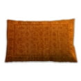 thumbnail image 1 of Ahgly Company Outdoor Rectangular Mid-Century Modern Lumbar Throw Pillow, 13 inch by 19 inch, 1 of 5