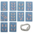 thumbnail image 3 of 2pcs Cats Cradle String Creative Finger Strings For Kids Portable String Toys Hand Game Play Cradle Rope Game Cat Cradle Strings, 3 of 8