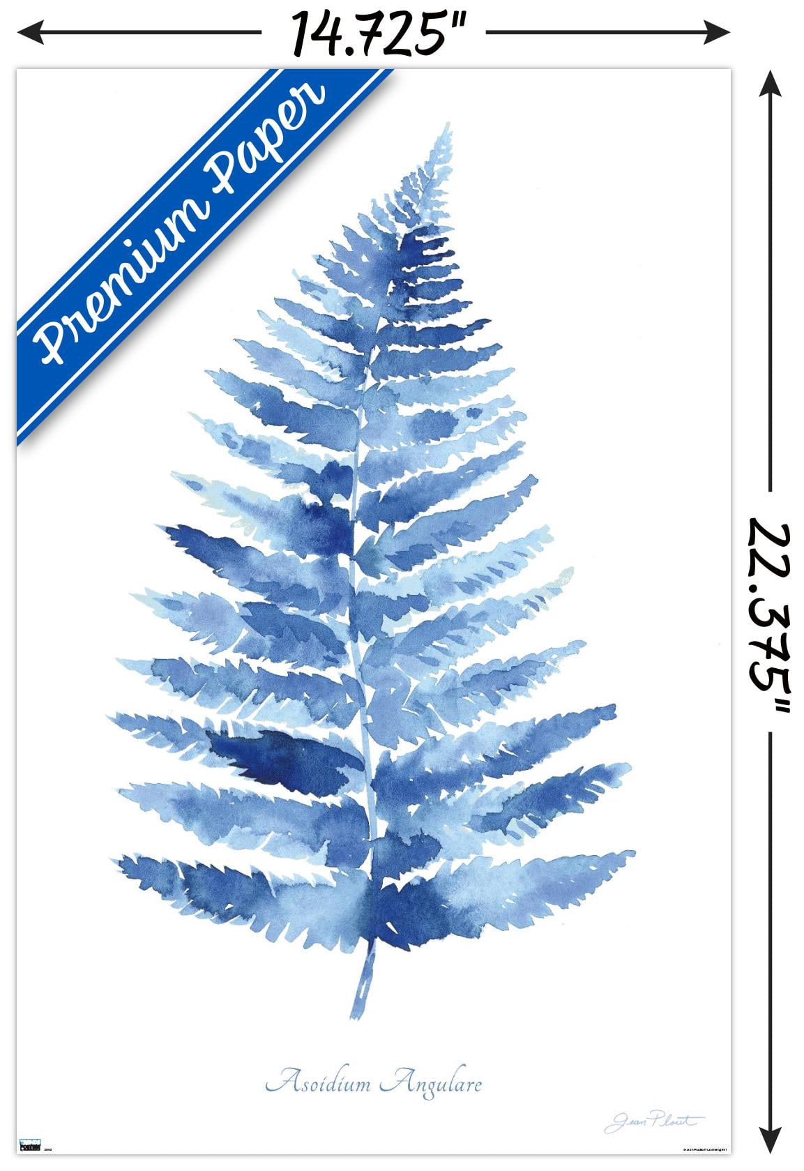 Jean Plout - Indigo Botanical Asoidium Angulare Wall Poster, 14.725" x 22.375"