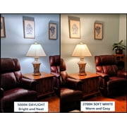 Great Value LED Ceiling Fan Bulb, 4.5-Watt (40W Eqv.) A15 Shape E26 Base Daylight, 2 Pack