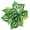 9, variant on Clear Texture Artificial Leaf Fadeless Plastic Floral Arrangement Simulation Plant Home Decor