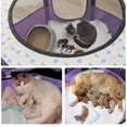 thumbnail image 3 of Large Dogs Houses Beds Dog House Foldable Pet Bed Tent Cats Cama Sweet Cat Bed Basket Cozy Kitten for Delivery Room Cat's House ShopWise Round, 3 of 11