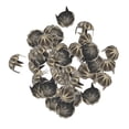 thumbnail image 1 of 50 unids tachuelas de calabaza garra de metal clavo de u?as punk Sunnimix remache de bronce Claw Studs Rivet, 1 of 8