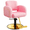Pink, variant on Baasha Premium Black and Gold Hair Salon Chair, Comfortable Stylist Chair with Memory Sponge, 360° Swivel, Steel Frame, Weight Capacity Up to 440 lbs