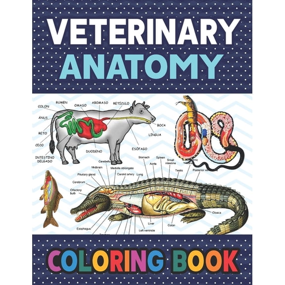 Veterinary Anatomy Coloring Book