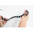 thumbnail image 2 of Snake, California King Snake, Coiled, Rubber Reptile, Educational, Realistic Hand Painted, Figure, Lifelike Model, Figurine, Replica, Gift, 26" F4436 B307, 2 of 8
