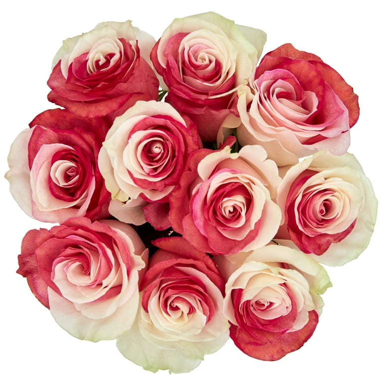 Fresh-Cut Tinted Roses Flower Bunch, Minimum 10 Stems, Colors Vary
