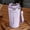 Purple PP, variant on Ganfancp Stainless Steel Coffee Cup Intelligent Temperature Measurement and Insulation Cup With Lifting Rope, Car Portable Mug Clearance Items