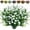 1PC--White, variant on 1pc No-Fade Faux Plastic Artificial Flowers Lifelike Multi-Color Plants for Indoor/Outdoor Home, Wedding & Party Decor