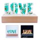 thumbnail image 4 of Lámpara de Flores Secas LED Luz de Noche para Decoración Día de San Valentín - Verde Sunnimix Luz de noche de amor, 4 of 8
