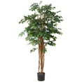 thumbnail image 1 of Nearly Natural Arbre en Soie Sakaki, 7 Pieds, 1 of 2