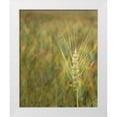 thumbnail image 3 of Scott Larson 12x14 White Modern Wood Framed Wall Art Titled - Turning Grain II, 3 of 5
