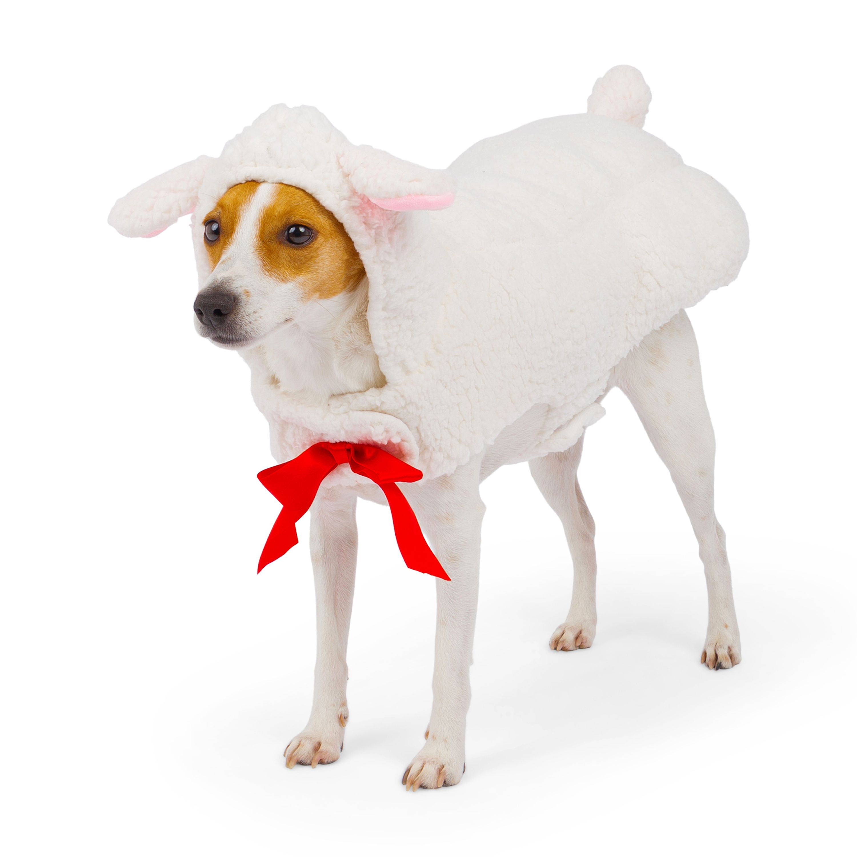 Costume d'agneau pour chien One Paw, Halloween