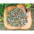thumbnail image 7 of 1 lb Bulk Rhyolite Tumbled Stones Crystal Healing Rainforest Jasper, 7 of 7