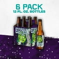 thumbnail image 3 of Elysian Space Dust IPA Craft Beer, 6 Pack, 12 fl oz Glass Bottles, 8.2% ABV, 3 of 8