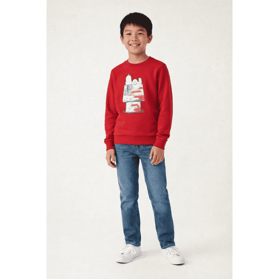 Peanuts Unisex Kids' Snoopy Doghouse Flag Long Sleeve Crewneck Pullover Sweatshirt, Size XS-XXL