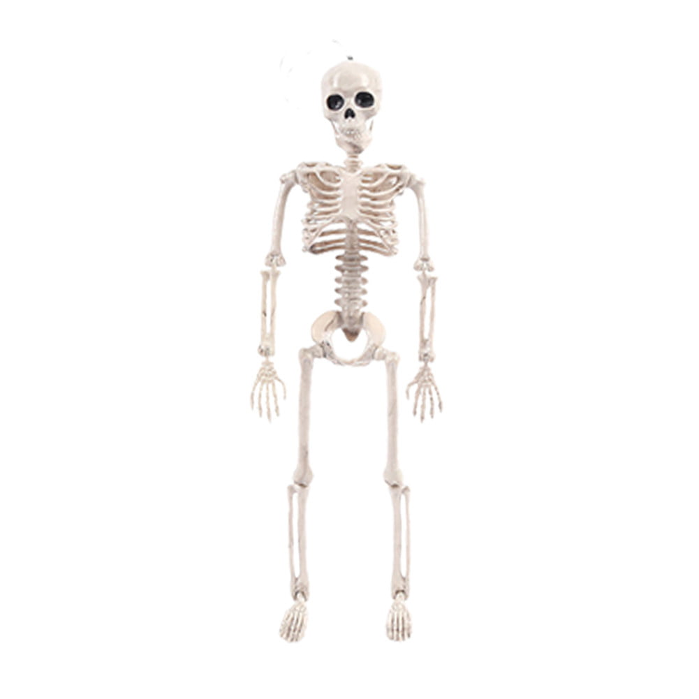 New Anatomical Halloween Poseable Human Skeleton Props Horror Party Decoration 