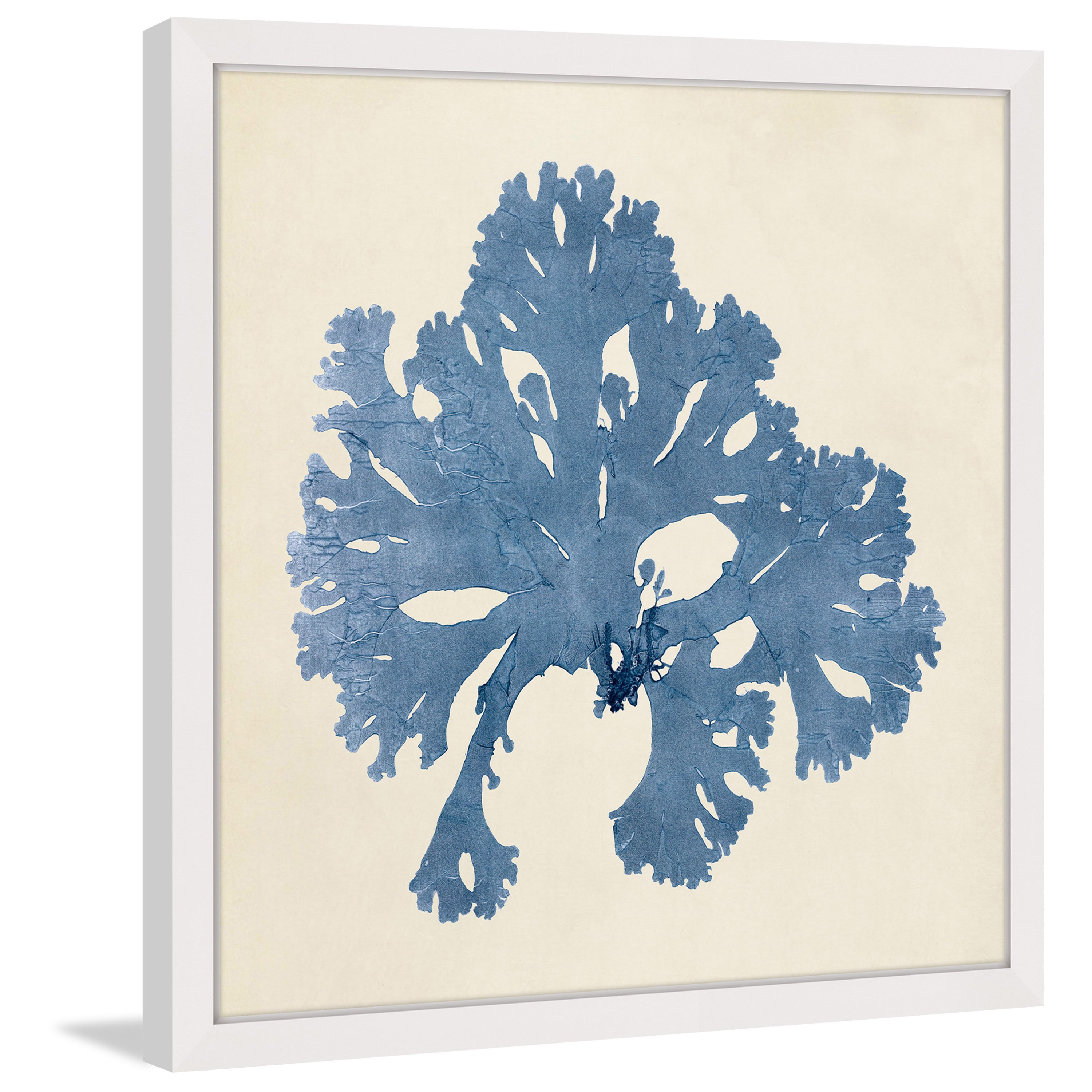 MARMONT HILL  - Handmade Chromatic Seaweed V Framed Print 32 x 32