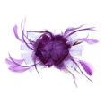 thumbnail image 2 of Diadema de Pelo de Malla con Plumas Artificiales Zulema Sombrero de mujer fascinante, 2 of 8