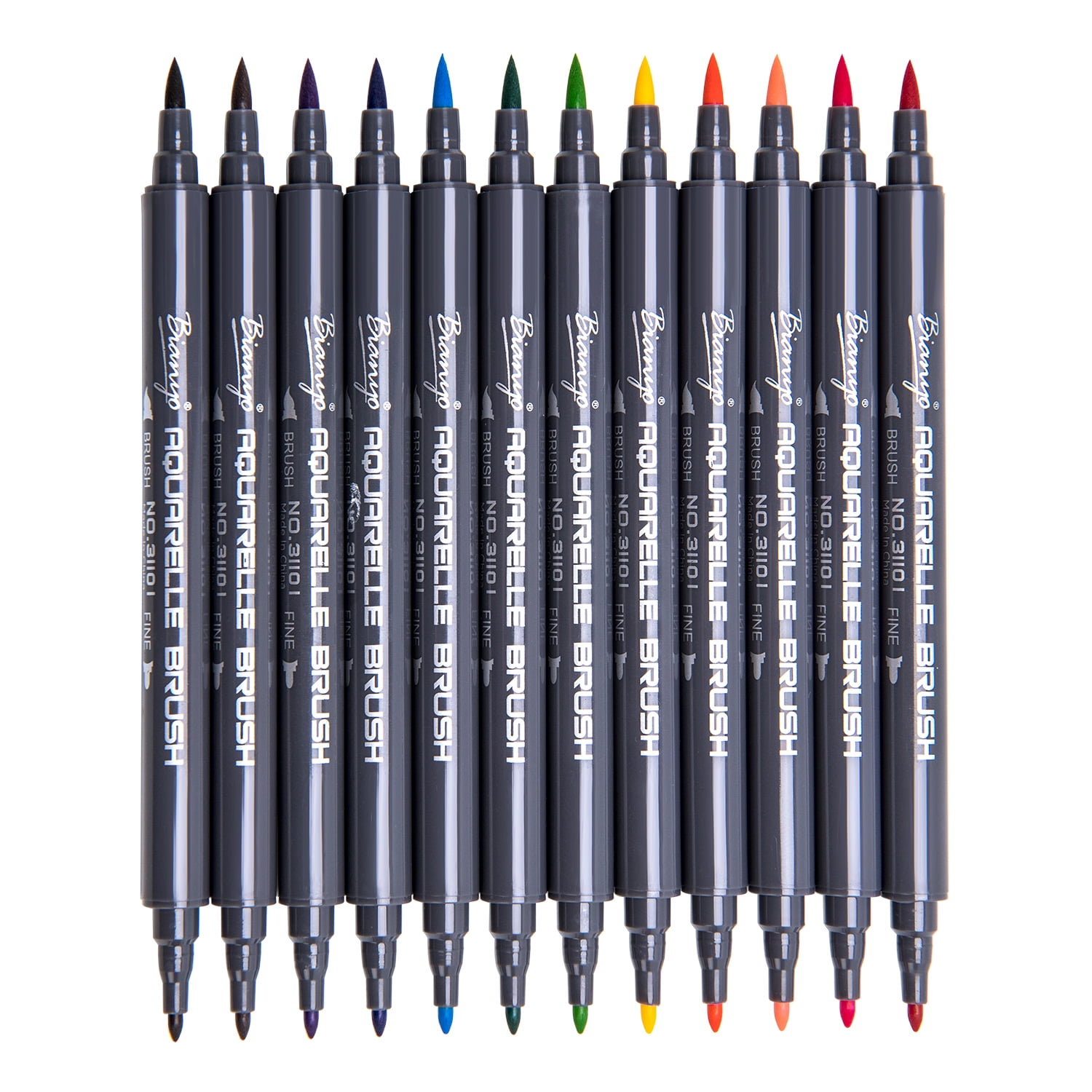 Bianyo Dual Tip Watercolor Markers, Set of 12