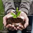 thumbnail image 6 of ZeeDix Organic Compressed Coco Coir Brick Soil, 20 Piece, 6 of 7