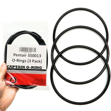 3 Pack Pentek, Pentair 350013 Lid O-Ring - Replacement Pool and Spa Pump ORing by Captain O-Ring