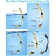 thumbnail image 3 of Juego de Snorkel Vengreedo para Adultos con Aletas, Máscara, Tubo y Bolsa, 3 of 8