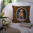 thumbnail image 3 of Carolines Treasures SS8355PW1414 Starry Night Chesapeake Bay Retriever Fabric Decorative Pillow, 14Hx14W, multicolor, 3 of 4