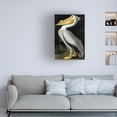 thumbnail image 2 of Trademark Fine Art John James Audubon American White Pelican Canvas Wall Art - 22x32, 2 of 4