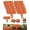 Brick Red, variant on 10/20/30/40PCS Landscape Edging Stone Border, Faux Stone Garden Edging Border for Flower Beds, Plastic Garden Retaining Fence, Flexible Interlocking Edging Stones, Weather Resistant Lawn Border Decor