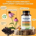 thumbnail image 4 of Healblend 10 in 1 Immune Support Supplement Booster with Elderberry, Zinc, Echinacea, Turmeric, Lactobacillus Acidophilus, for Adults 2-Pack, 4 of 10