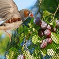 thumbnail image 4 of HLONK Durable Plastic Bird Net for Fish - Durable Satin-Like Cover  Protects Against Bird Attacks  Fits Standard Pond Nets  Easy to Install & Maintain  Pond Netting, 4 of 5