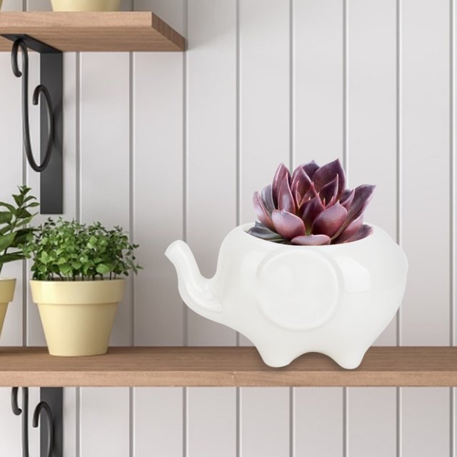 Maceta de Flores, Decoración Cerámica Lindo Contenedor de Plantas Suculentas para el Hogar para Jardín