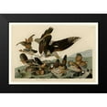 thumbnail image 2 of Audubon, John James 14x11 Black Modern Framed Museum Art Print Titled - Virginian Partridge, 2 of 5