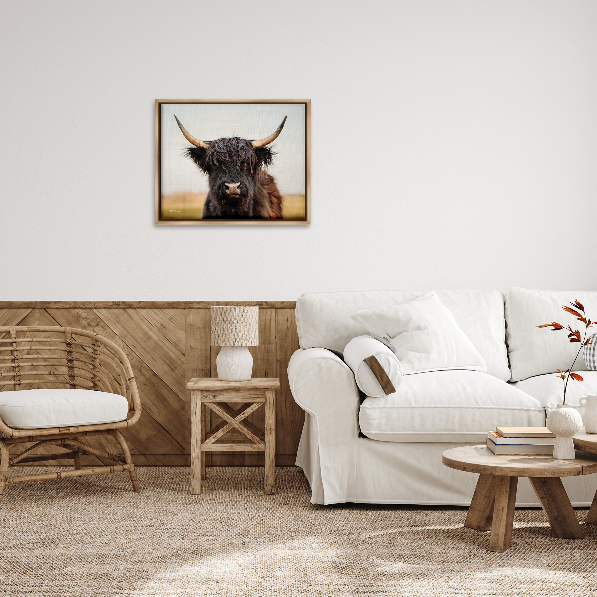 Stupell Industries Black Highland Cow Portrait Animals & Insects Photography Brown Floater Framed Canvas Art Print Wall Art, 31 x 25
