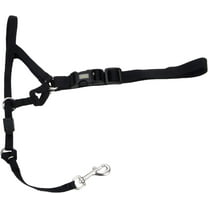 Coastal Pet Walk 'n Train Dog Head Halter Black, LG