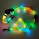 thumbnail image 2 of For AirTag Tracker Protective Case Set, LED Pet Collar with Rope, Bell, Film (M Size) - Orange, 2 of 5