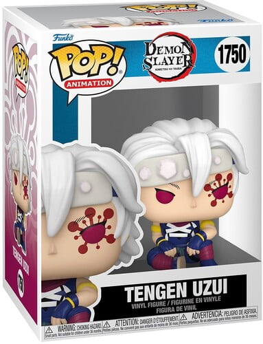 (POP Animation: DS- Tengen(Flash Back))