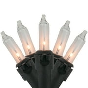 Northlight 100ct Mini String Lights Set Clear - 20.25' Black Wire