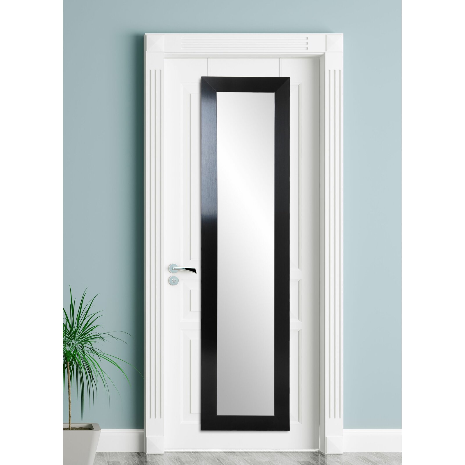 Bexar Modern & Contemporary Full Length Mirror, Installation Type