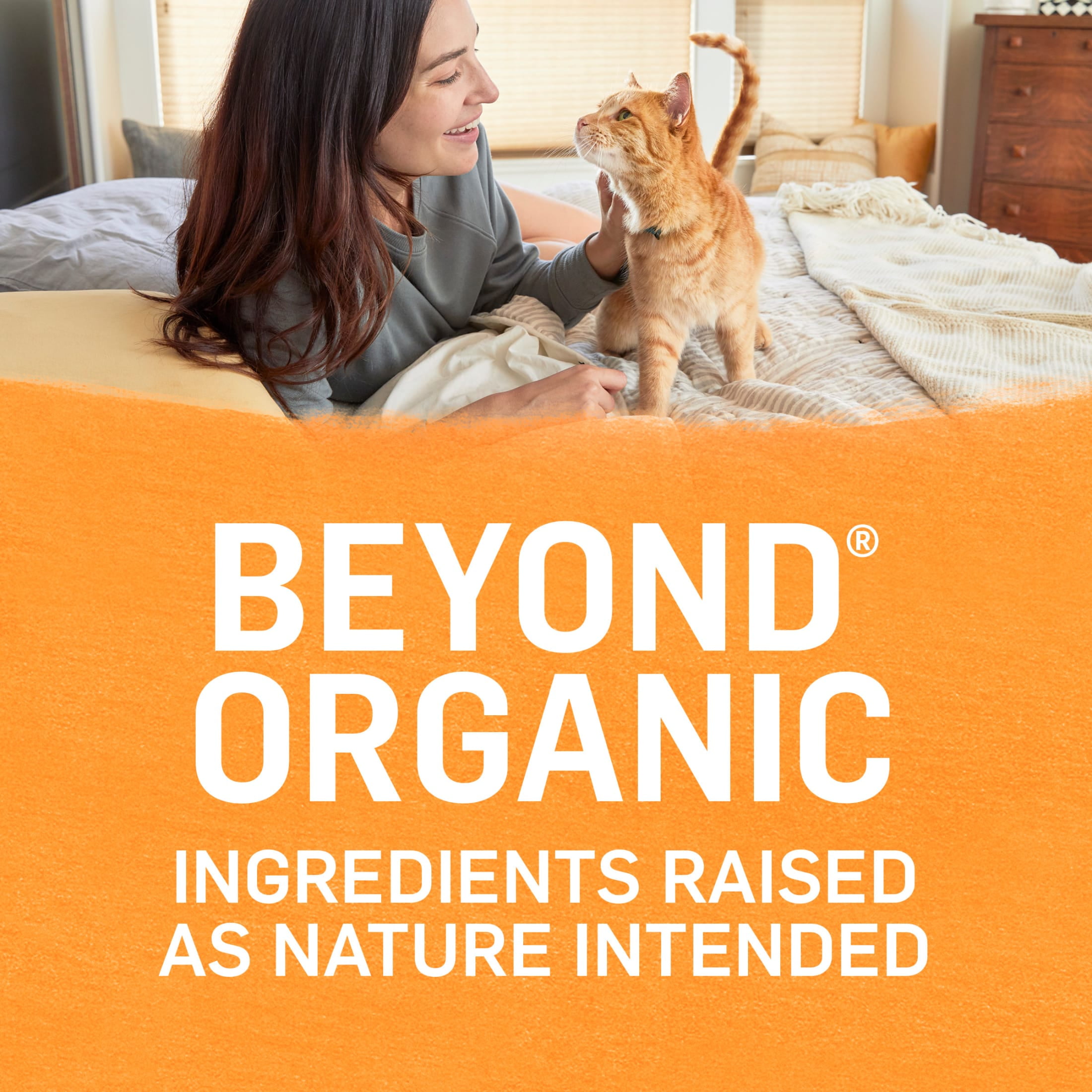 (2 pack) Purina Beyond, Chicken & Carrot, Wet Cat Food, 3 oz Cans, 12 Count