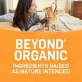 thumbnail image 5 of Purina Beyond, Chicken & Carrot, Wet Cat Food, 3 oz Cans, 12 Count, 5 of 12